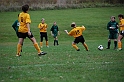 LYSA 2009 Fall Game10_050